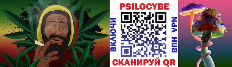 наркотики  Чухлома  Псилоцибиновые грибы Psilocybe 
